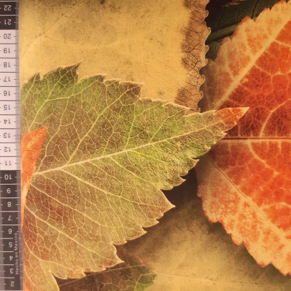 Panel patchwork stof, fantastiske store efterårs blade i høstfarve.